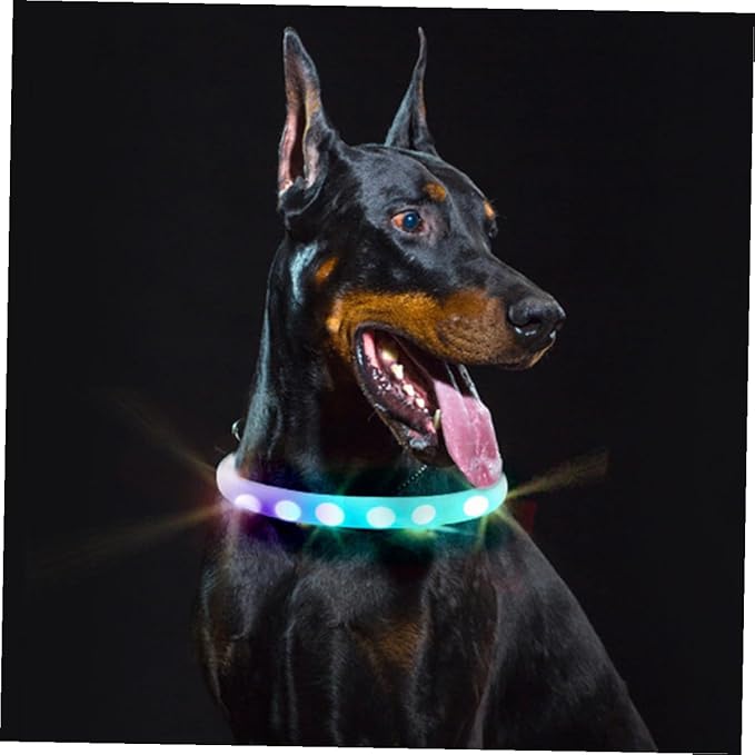Veemoon LED Dog Collar USB Rechargeable Glowing Luminous Pet Collar White Night Safety for Dogs
