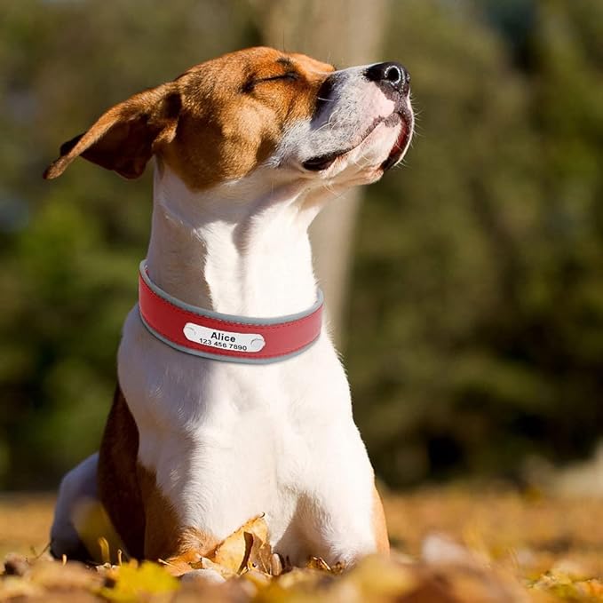 Reflective Large Dog Collar Leather Personalized Pet Dog Collars coleira para cachorro for Big Pit Bull Dogs German Shepherd Red M