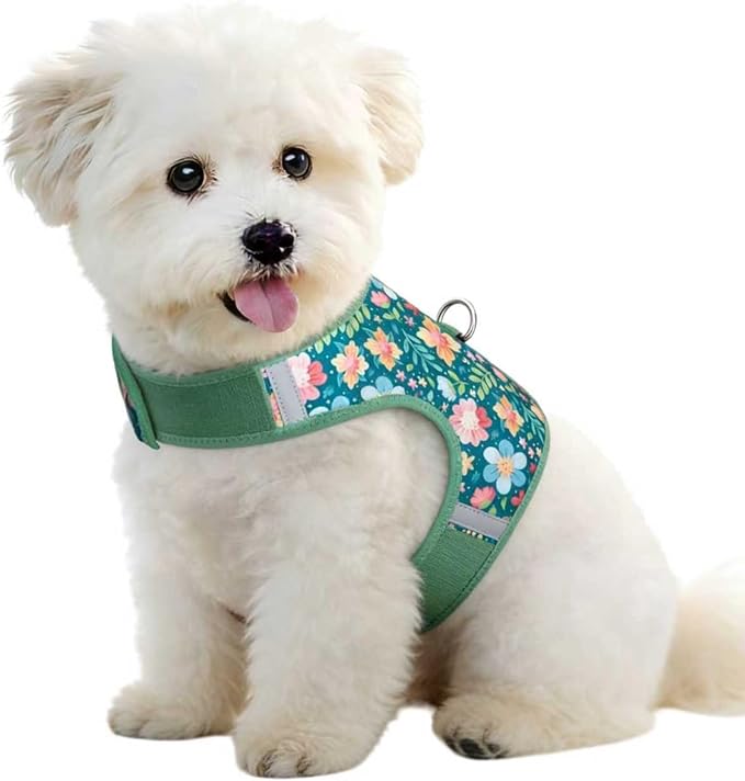 Dog Harness for Small Sized Dog,Hook-and-Loop Easy On/Off, Reflective Adjustable Soft Mesh Vest for Puppy (Green Floral Print,S)