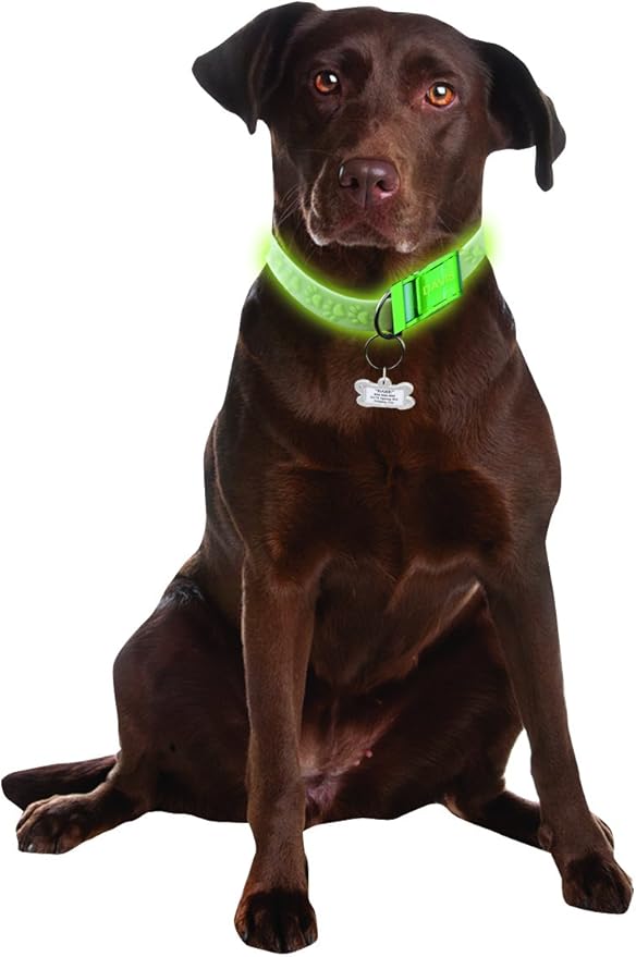 Davis Manufactruing FurEver Brite Glow in The Dark Pet Safety Collar, Medium to Large, Green, FB.SC-M