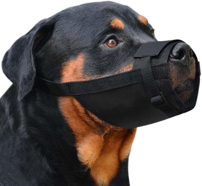 CollarDirect Nylon Dog Muzzle - Adjustable Soft Breathable Nylon Dog Mouth Guard Cover for Small, Medium and Large Dogs, Anti Chewing, Barking & Biting (2 Black, L/XL)