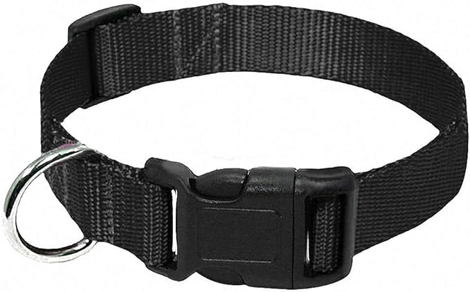 Lakke Nylon Webbing Dog Collar Heavy Duty Clip Buckle Pet Collar for Small Medium Dogs Chihuahua Dog Red Black Blue Purple 20