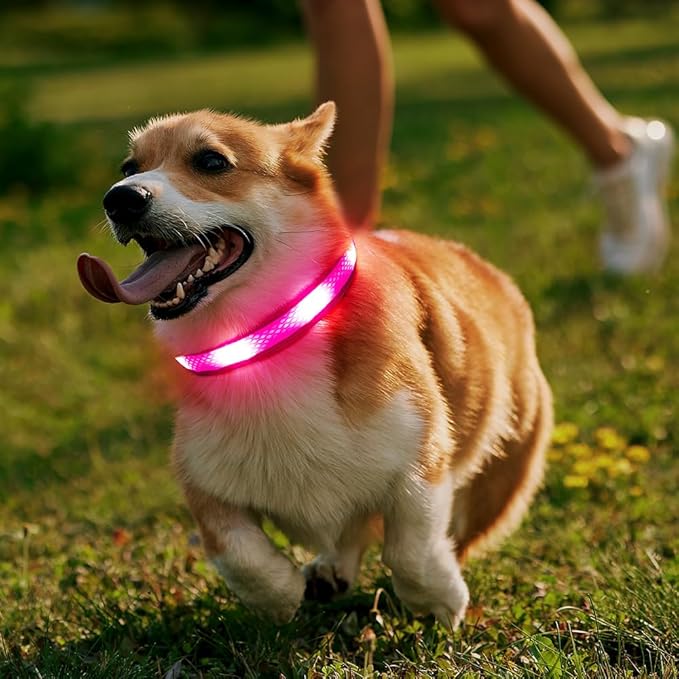 Illumifun Light Up Dog Collar, USB Rechargeable LED Dog Collar Glow in The Dark, Waterproof Reflective Dog Safety Light for Your Dogs Walking at Night (Large, Light Pink)