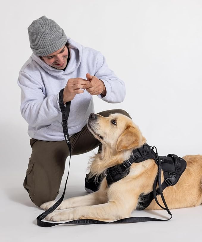 Fei & Eve MagEase Dog Harness - 3-Second Magnetic Buckles | 3-Point No-Pull Control | Heavy-Duty 900D Nylon | Dual Safety Handles | Breathable Mesh | Adjustable Fit | Large,Black
