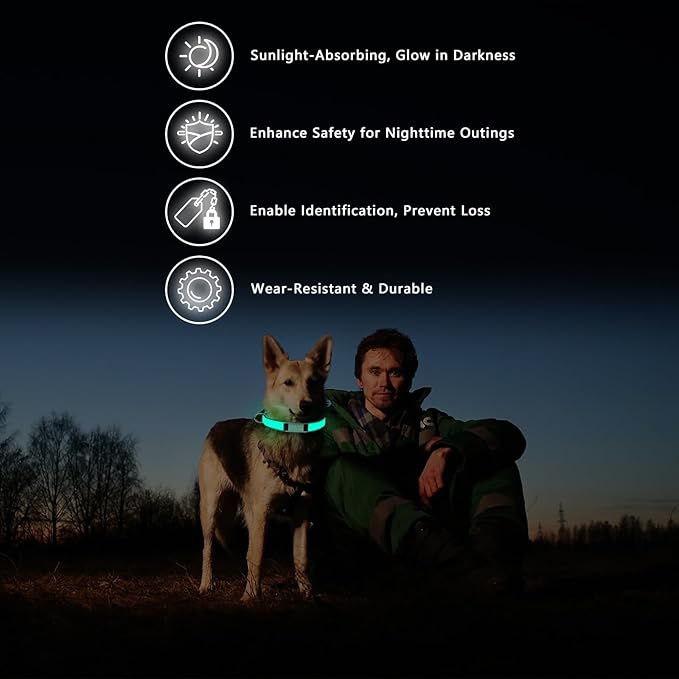 Custom Glow in The Dark Dog Collar with Name & Phone Number, Personalized Reflective Dog Collar for Small Medium Large Dog, Light Up Pet Collar with Engraved ID Tag