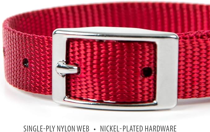 Jeffers Pet Solid Nylon Dog Collars, Red, 8" W x 12" L – Adjustable, Durable & Safe for Dogs, Lightweight & Double Ply Design, Stylish Pet Accessories - Perfect for Training, Walking & Tracker