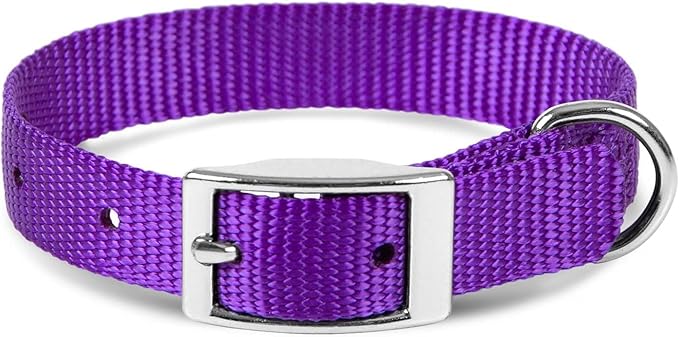 Jeffers Pet Solid Web Nylon Dog Collar for Small, Medium, Large Dogs – Adjustable Pet Collar, Nickel Plated Hardware – Strong, Durable, Comfortable – Outdoor, Training Use - Purple 5/8" W x 10" L
