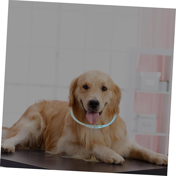 Led Pet Glow Collar USB Rechargeable Light-up Dog Collar for Night Safety for Dogs and Cats High Visibility with Lights
