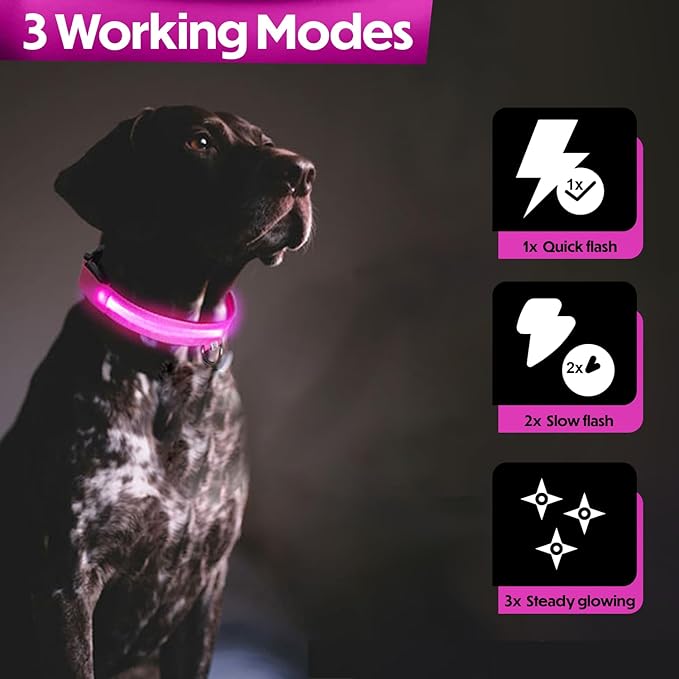 Light Up Dog Collar – Reflective, Adjustable & Rechargeable Electronic Glow Pet Collars – Bright, Comfortable, High Visibility LED Dog Collar for Night Safety, Outdoor Walk, Flashing Fun, Pink, Medium