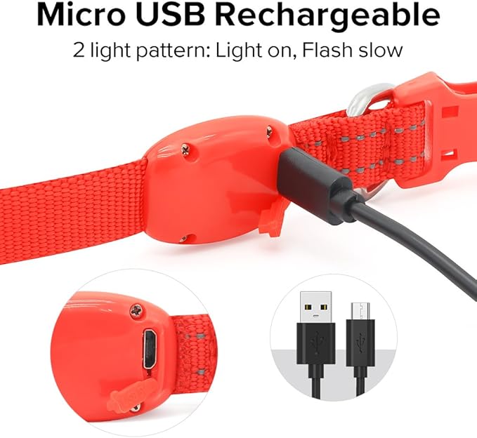 Candofly Light Up Dog Collar for Small Dogs & Cats, Safety Lighted Puppy Collar USB Rechargeable LED Collars for Night Walking Camping (X-Small, Red)