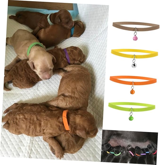 Djustable Collars for Dogs Large Pet Id Bands Collars Double Sided Id Collar Bell for Puppies