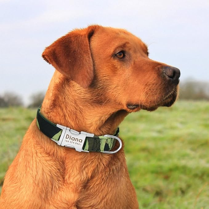 Dog Collar Personalized Nylon Small Dogs Puppy Collars Engrave Name ID for Small Medium Large Pet Pitbull German Shepherd 6 L