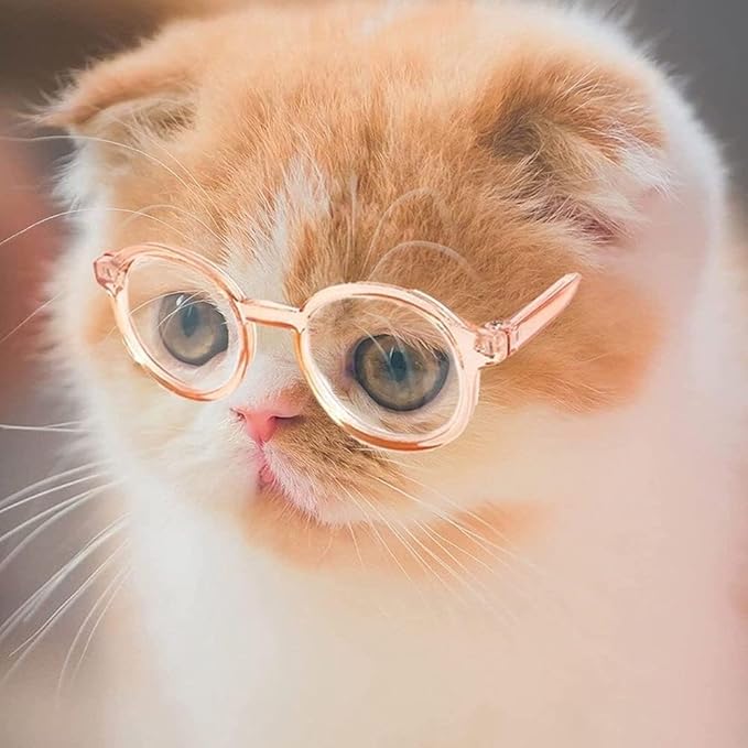 Black Pet Dog Cute Glasses Clear Lens Retro Glasses Photo Props Transparent Cat Sun Glasses for Small Dogs Cats Cosplay Costume Dog Sunglasses