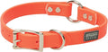 Terrain D.O.G. Brahma Webb Hunting Dog Collar