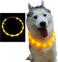 LED Dog and Cat Collar, USB Rechargeable Glowing Pet Collar, Cuttable Dog Necklace Safety Light for Dogs and Cats - Available in 7 Colors (Yellow)