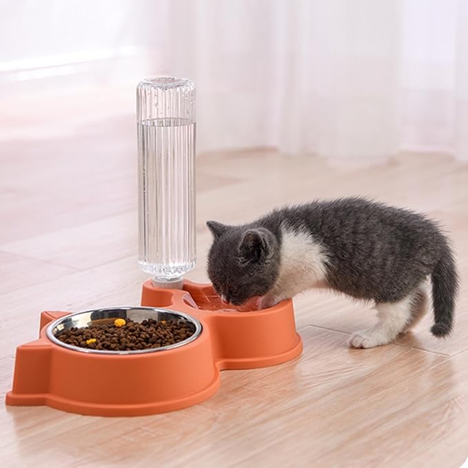 Dog Water and Food Bowl Set, 2 in 1 Automatic Cat Feeder Pet Water Dispenser Double Cat Bowls with Automatic Water Dispenser for Dogs Cats