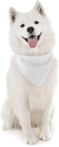Mechaly Dog Plain Bandanas - 2 Pack - Scarf Triangle Bibs for Small, Medium and