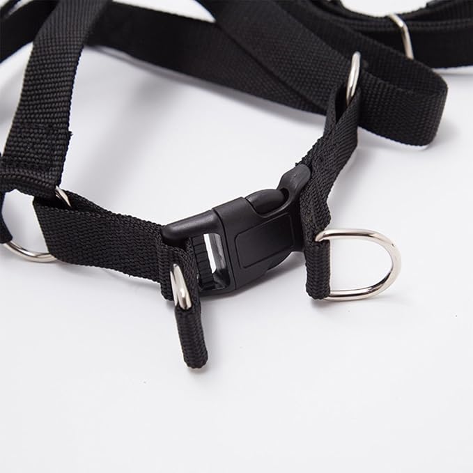 Durable Nylon Braided Dog Leash Dog Harness Dog Collar No Pulling Adjustable Harness Soft Padded Collar for Small Dog/Puppy/Cat