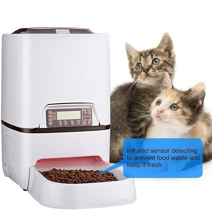 feeders 6L Automatic Convenient Pet Timing Feeder with Voice Recorder Speake LCD Display Infrared Sensor Cat Dog Food Feeding Dispenser