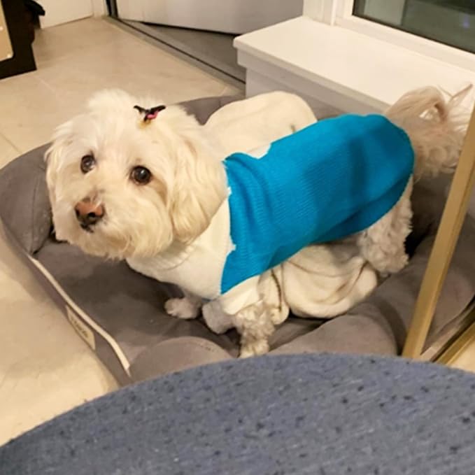 CHBORCHICEN Pet Dog Sweaters Classic Knitwear Turtleneck Winter Warm Puppy Clothing Cute Strawberry and Heart Doggie Sweater (Sky Blue, X-Small)