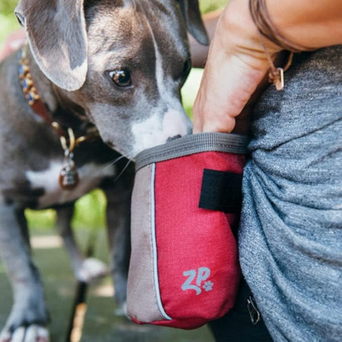 ZippyPaws Adventure Treat Bag (Forest Green)