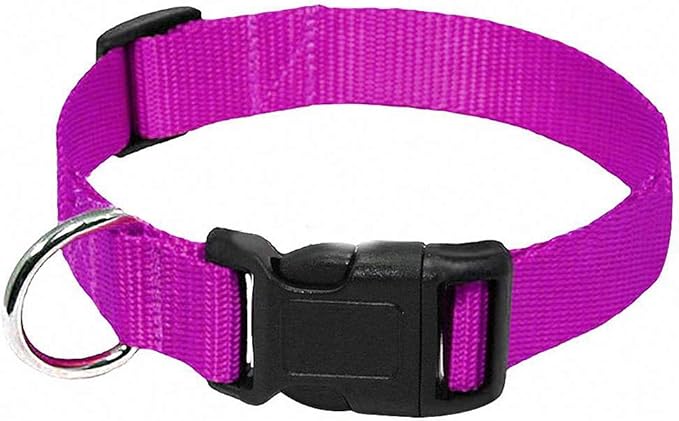 Lakke Nylon Webbing Dog Collar Heavy Duty Clip Buckle Pet Collar for Small Medium Dogs Chihuahua Dog Red Black Blue Purple 20