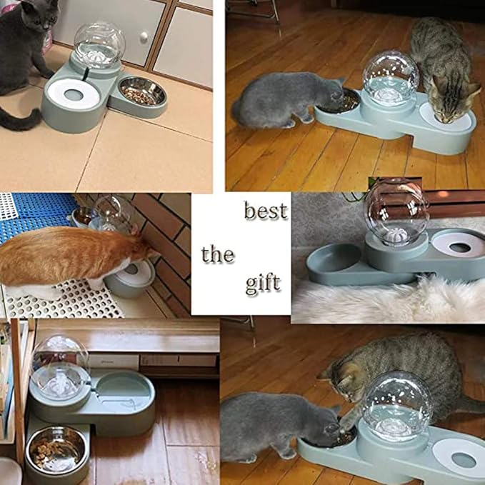 Double Dog Cat Bowls,Cat Dog Feeder Automatic Water Bowl and Food Bowl Set, Pet Automatic Water Dispenser,Floating Bowl Splash Free, Stainless Steel Feeder Bowl for Cats and Small Dog