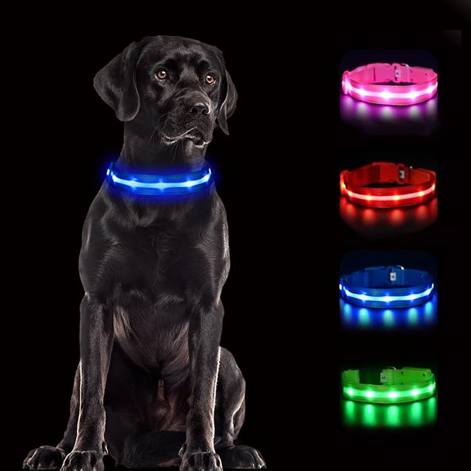 CHUKCHI LED Dog Collar Rechargeable,Waterproof Flashing Collar,Light Up Glow Collar, Adjustable Soft Safety Light Up for Small Medium Large Dogs Walking Camping at Night (Blue-M)
