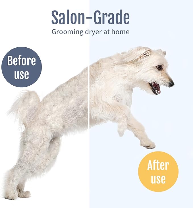 High Velocity Dog Hair Dryer for Pet Grooming – 150 MPH Airflow, Adjustable Temperature, and 3 Nozzles for Efficient Drying of Dogs, Cats, and Furry Friends
