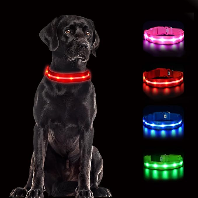 CHUKCHI LED Dog Collar Rechargeable,Waterproof Flashing Collar,Light Up Glow Collar, Adjustable Soft Safety Light Up for Small Medium Large Dogs Walking Camping at Night (Red-S)