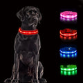 CHUKCHI LED Dog Collar Rechargeable,Waterproof Flashing Collar,Light Up Glow Collar, Adjustable Soft Safety Light Up for Small Medium Large Dogs Walking Camping at Night (Red-M)