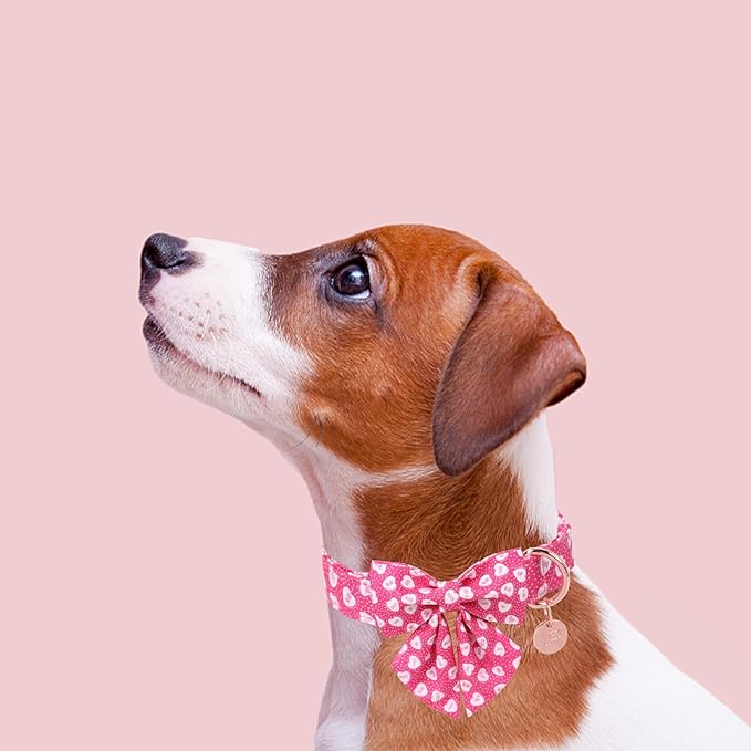 Valentine’s Dog Collar with Bow Tie, Pink Heart Bowtie Collar with Metal Buckle, Valentine’s Gift Pet Collar for Puppy Girl Boy Dog or Cat, Wedding Dog Collar, S