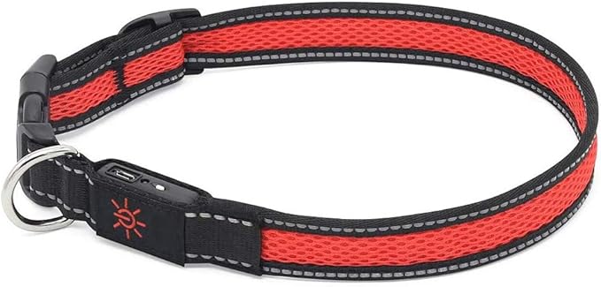 LED Dog Collar (L (53 60cm), Red) - USB Rechargeable Pet Collar Glows with Night Safety LEDs, Lights Up with Nylon Tape and Reflective - Perfect for Small, Medium and Large Dogs by The Small Moment