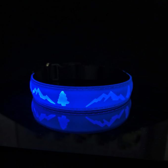 LED Dog Collar, 15 Light Modes, USB-C Rechargeable, Silicone Material, Adjustable Size, (Blue, S(7.87-11.8"))