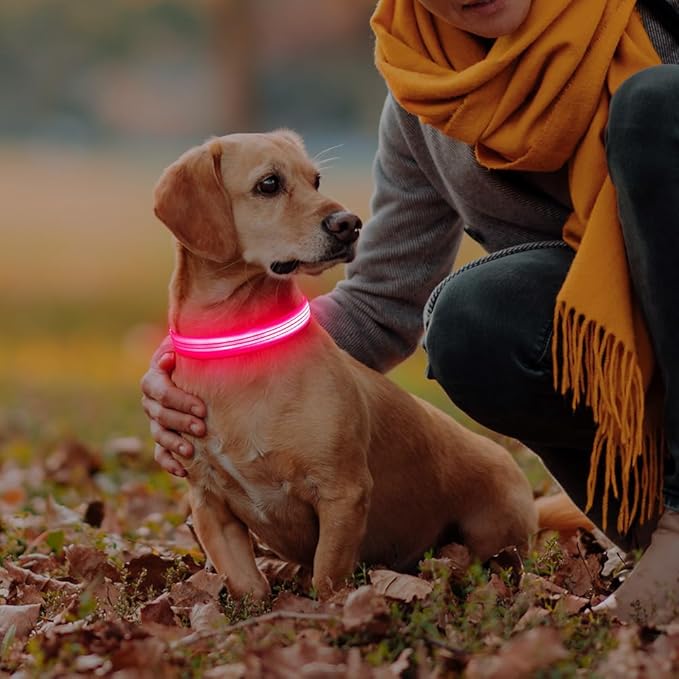 LED Dog Collar, Rechargeable Light Up Dog Collars, Reflective Safety Collar Light for Dogs Glow in The Dark (Pink, M)