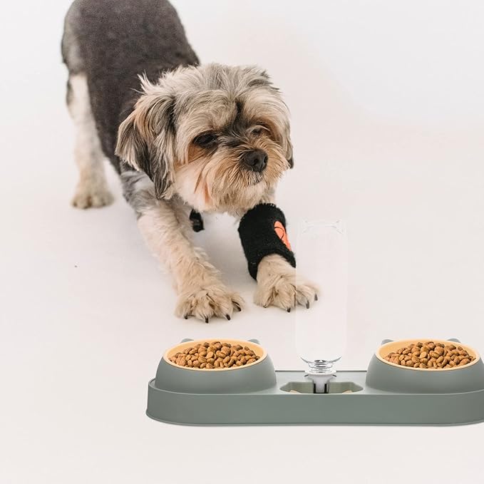 Cat and Dog Feeder Automatic Feeder and Drinker Double Bowl Pet Food Dispenser Easy to Use Safe for Pets Random Style