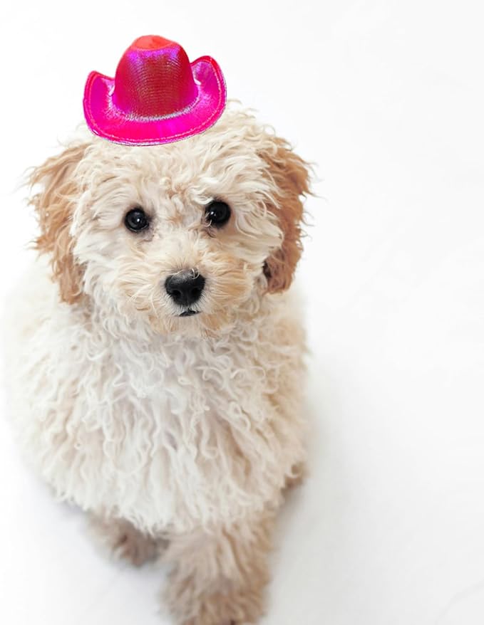 Dog and Cat Cowboy Hat With Bandana Scarf - Mini Pet Costume for Holiday, Halloween, Party Decoration (Rose Red-Style2, Small)