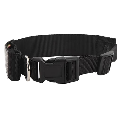 LED Collar, LED Dog Necklace USB Charging Mobile APP Control Wear Resistance 450mAh Battery High Visibility for Night Walking
