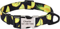 Cute Custom Dog Collar Leash Personalized Fruit Print Nylon Dog Collar Lead Engraved Name ID for Small Medium Large Dog Pitbull 159 Black Collar L