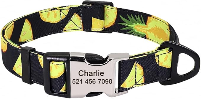 Cute Custom Dog Collar Leash Personalized Fruit Print Nylon Dog Collar Lead Engraved Name ID for Small Medium Large Dog Pitbull 159 Black Collar L