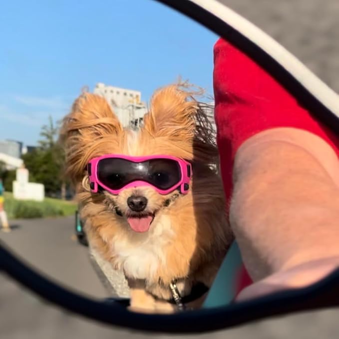 PETLESO Dog Goggles Small Breed, XS Dog Sunglasses Chihuahua Glasses Anti-UV Eyes Protection for XSmall Pets Tiny Dogs Cats, Pink XS