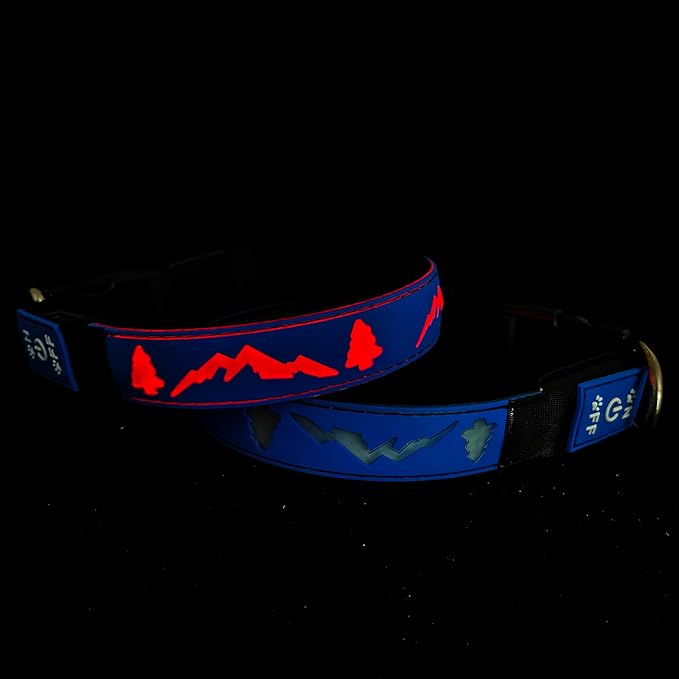 LED Dog Collar, 15 Light Modes, USB-C Rechargeable, Silicone Material, Adjustable Size, (Blue, M(11.8-15.7"))