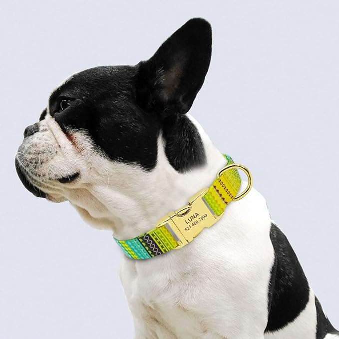 Fashion Custom Dog Collar Nylon Print Personalized Pet Collar Puppy Dog ID Collars Free Engraved ID for Small Medium Large Dogs 141 Yellow 40 to 57 cm