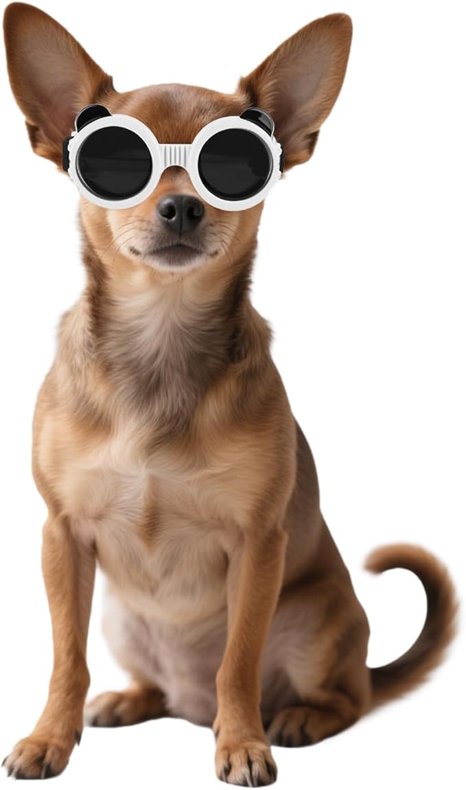 Namsan Dog Goggles Small Breeds, UV Protection Dog Glasses for XSmall to Small Dogs, Chihuahua Sunglases Windproof Dustproof Driving Eye Protection, Adjustable, Panda White