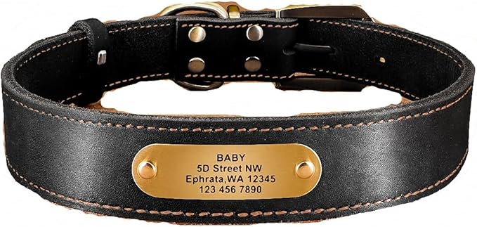 Real Leather Dog Collar Leash Set Personalized Genuine Leather Dog Pet Collars Leashes Custom for Small Medium Large Dog Pitbull Black Collar XL