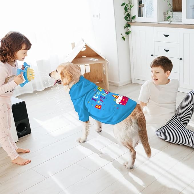 GreenJoy Dog Sweater Dog Hoodie Cold Weather Coat Hooded Sweatshirt for Puppies,Cats, Small Medium Large Dogs (Blue(It's My Birthday), Medium)