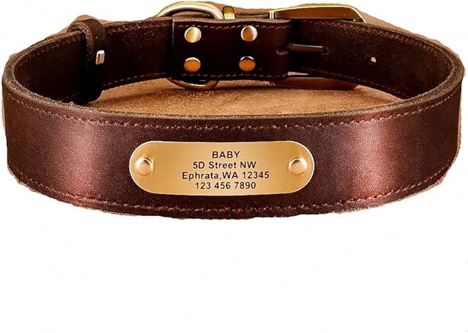 Real Leather Dog Collar Leash Set Personalized Genuine Leather Dog Pet Collars Leashes Custom for Small Medium Large Dog Pitbull Brown Collar XS