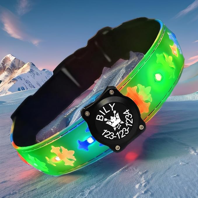 Personalized USB-C led Light up Dog Collar with Airtag Holder, IPX7 Waterproof,15 Modes Changing Multicolored Lighting (Green Pro, XL(19.7-23.6"))