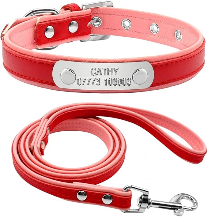 Personalized Dog Collar and Leash Padded Adjustable Customized Pet Collars and Leashes for Small Medium Dogs Cats Chihuahua Red M
