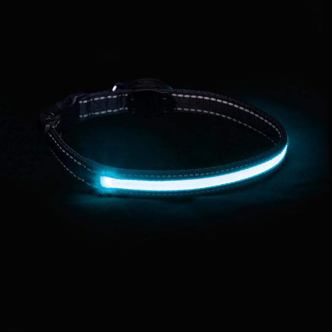 Sherry Kline LED Light-Up Pet Collar - USB Rechargeable - Flashing Glow in The Dark Size Small, Color: Blue